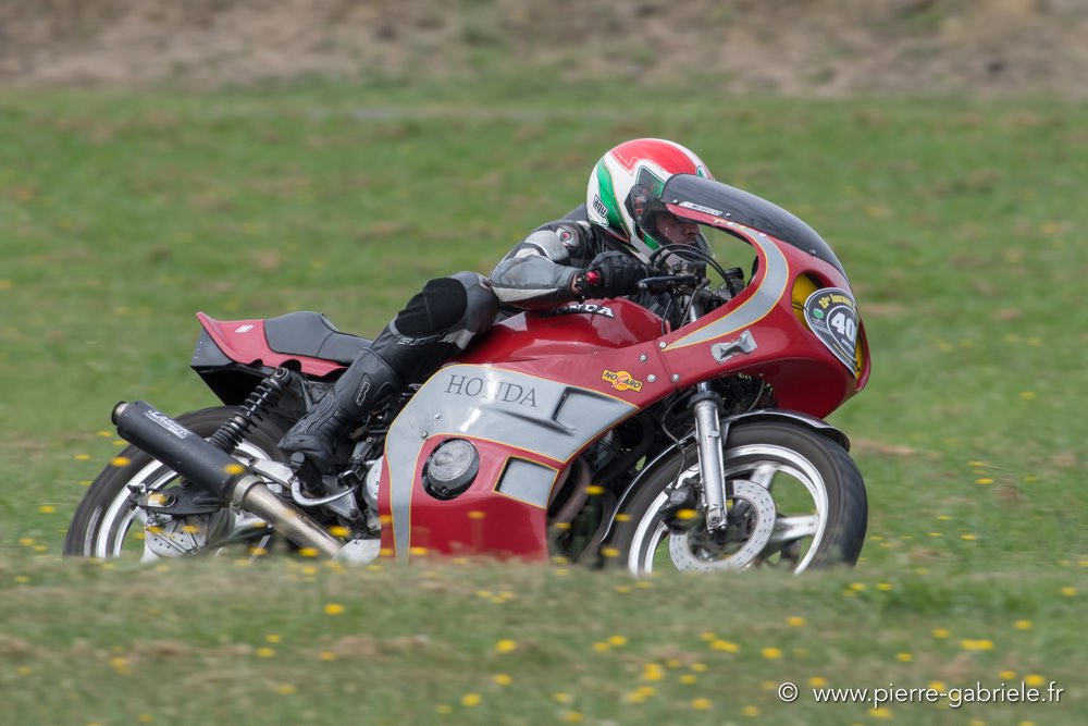 coyotes-dimanche-d500_6981.jpg