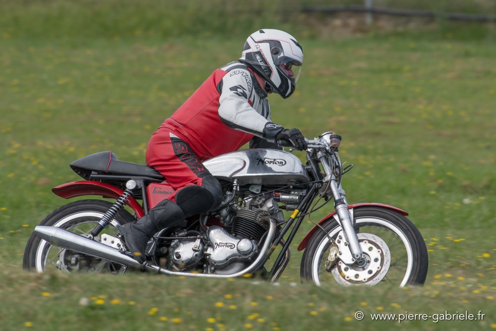 coyotes-dimanche-d500_6989.jpg