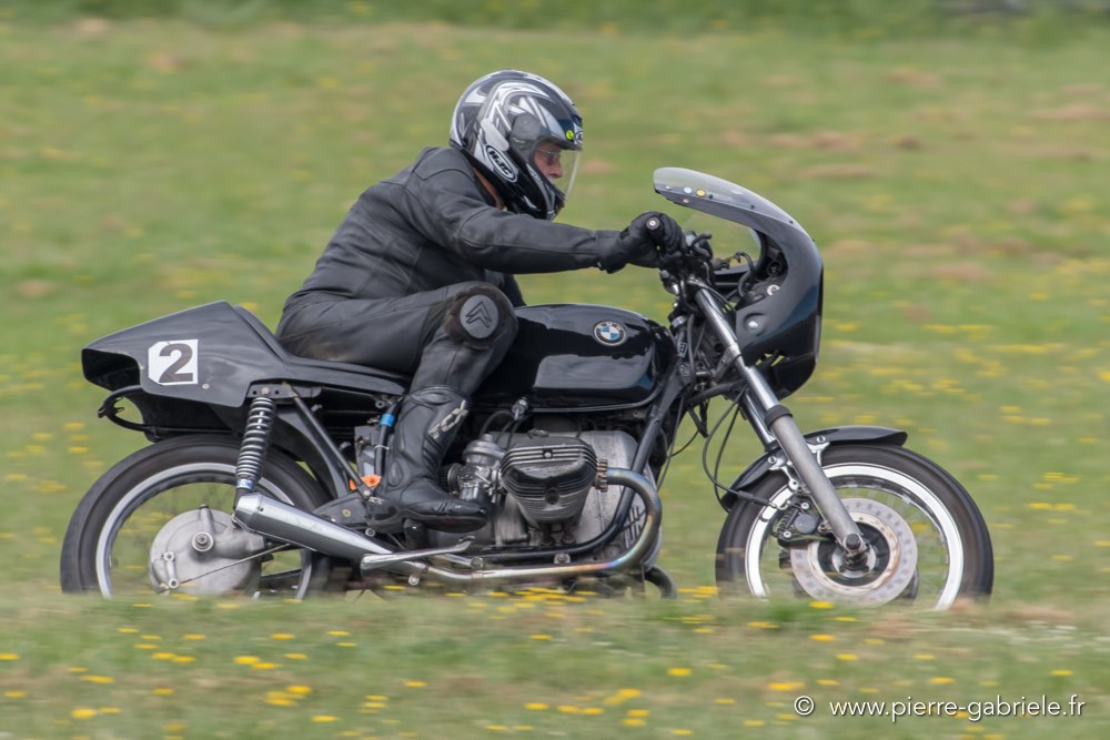 coyotes-dimanche-d500_7012.jpg