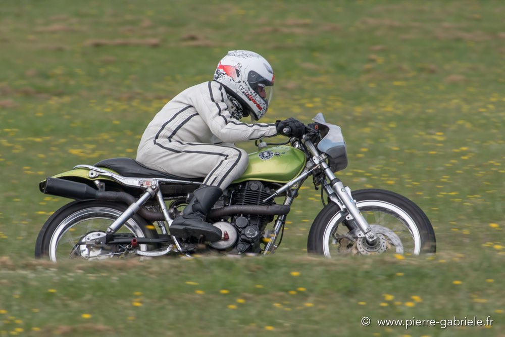coyotes-dimanche-d500_7013.jpg