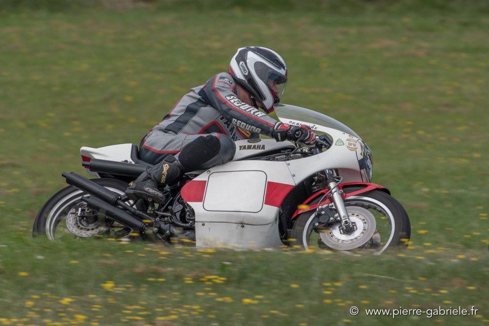 coyotes-dimanche-d500_7017.jpg