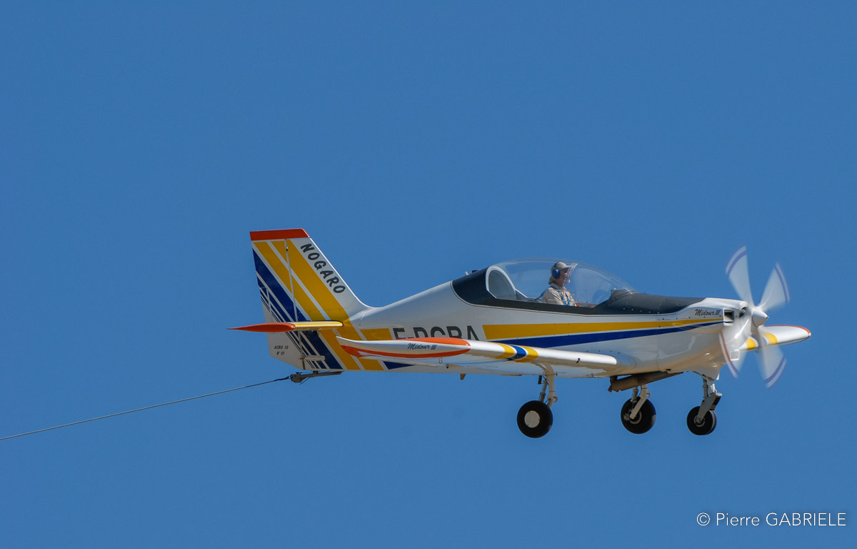 coyotes2007-s_4212.jpg