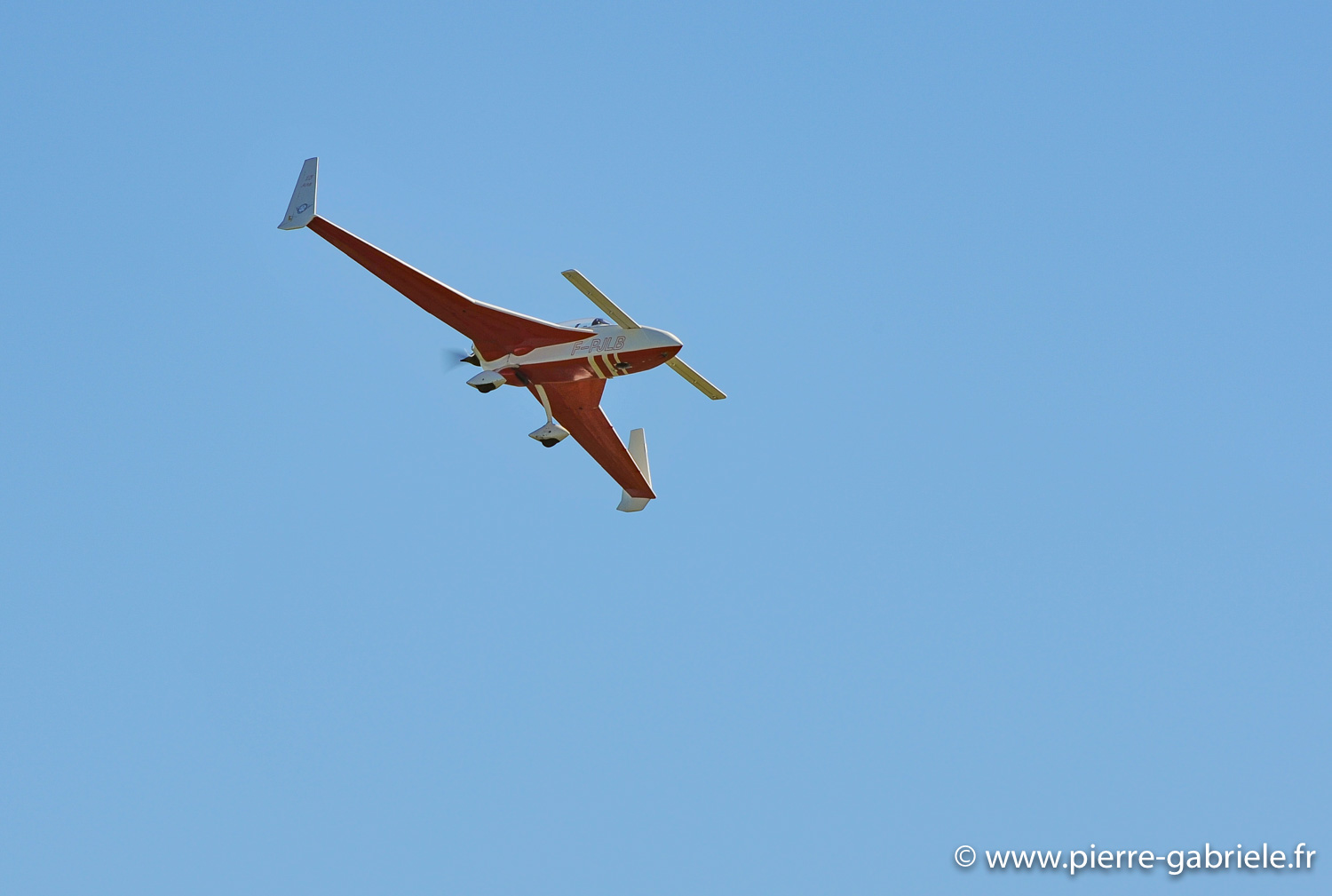 coyotes-2008_0397.jpg