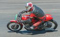 coyotes-2010_0457