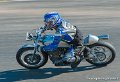 coyotes-2010_0694