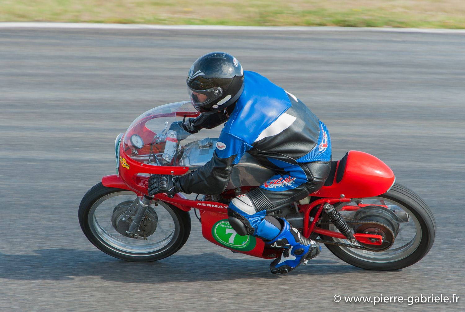 coyotes-2010_1109.jpg