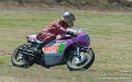 coyotes-2010_1312