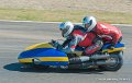 coyotes-2010_0784