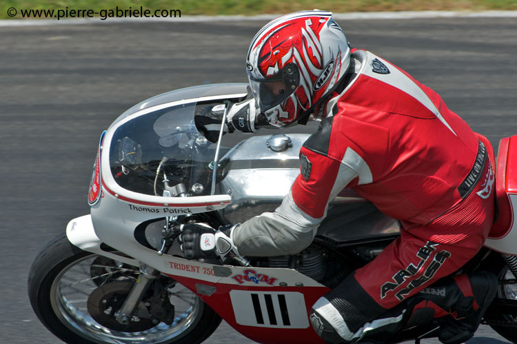 coyotes-2011_8474.jpg