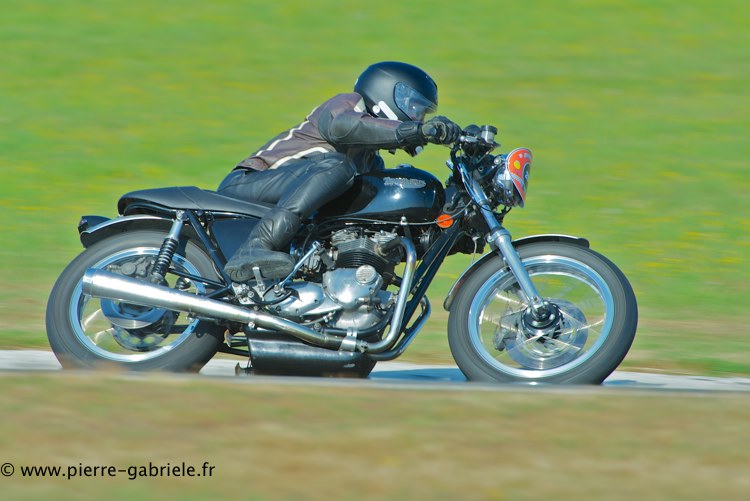 coyotes-2013-dimanche_2050.jpg