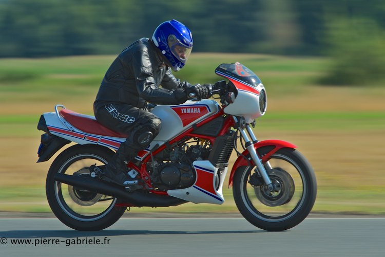 coyotes-2013-dimanche_2154.jpg