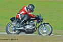 coyotes-2013-dimanche_2059