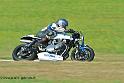 coyotes-2013-dimanche_2091