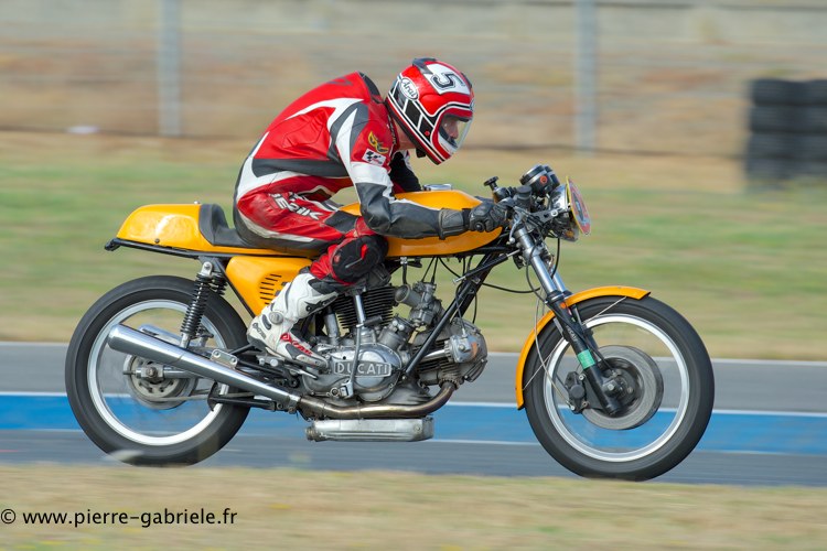 coyotes-2013-samedi_1552.jpg