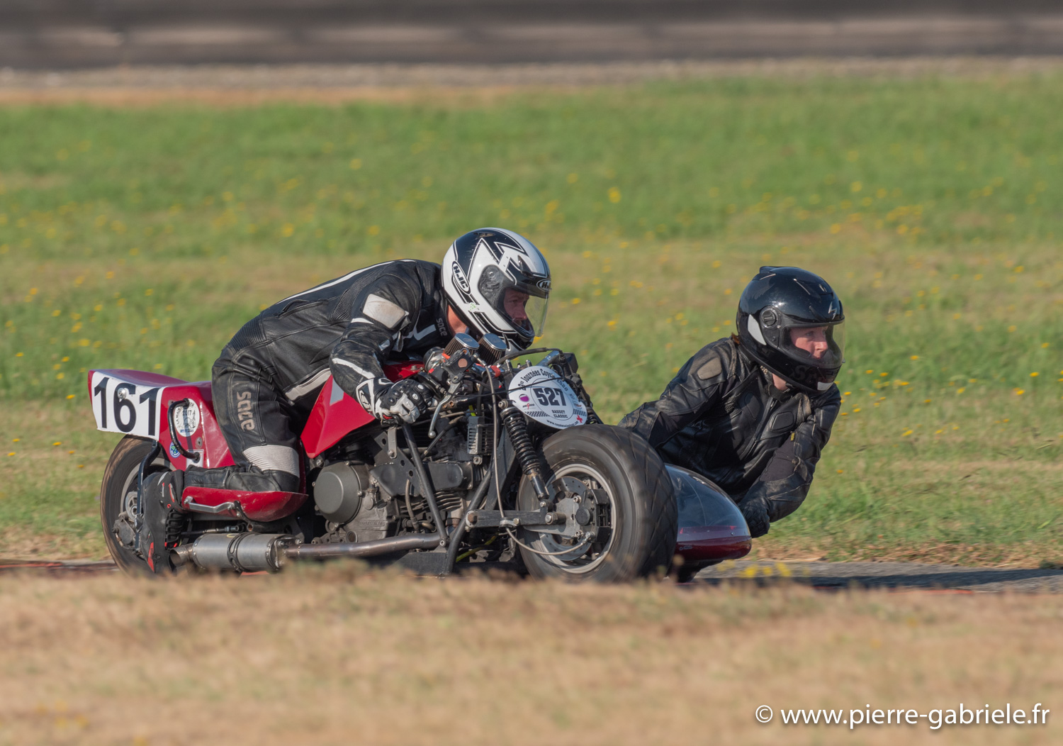 basset-classique-g93_4693.jpg