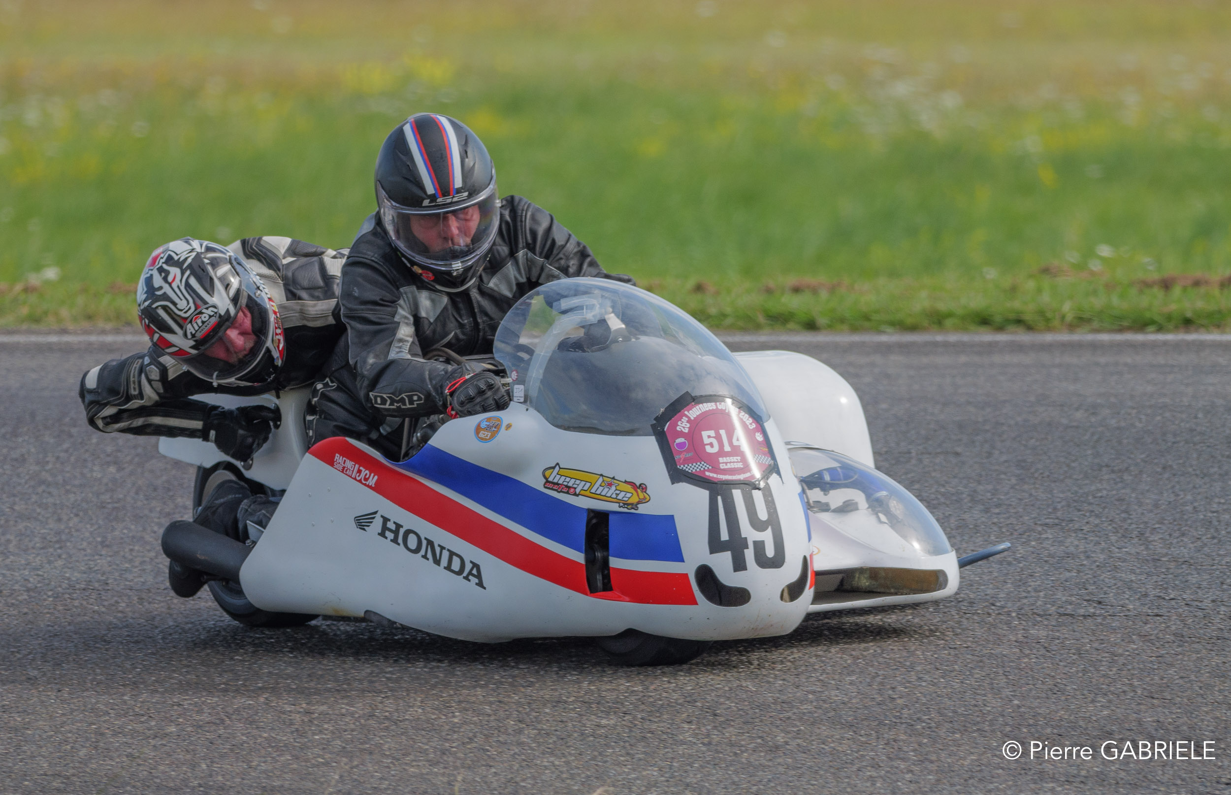 basset-classique-gh7_2890.jpg