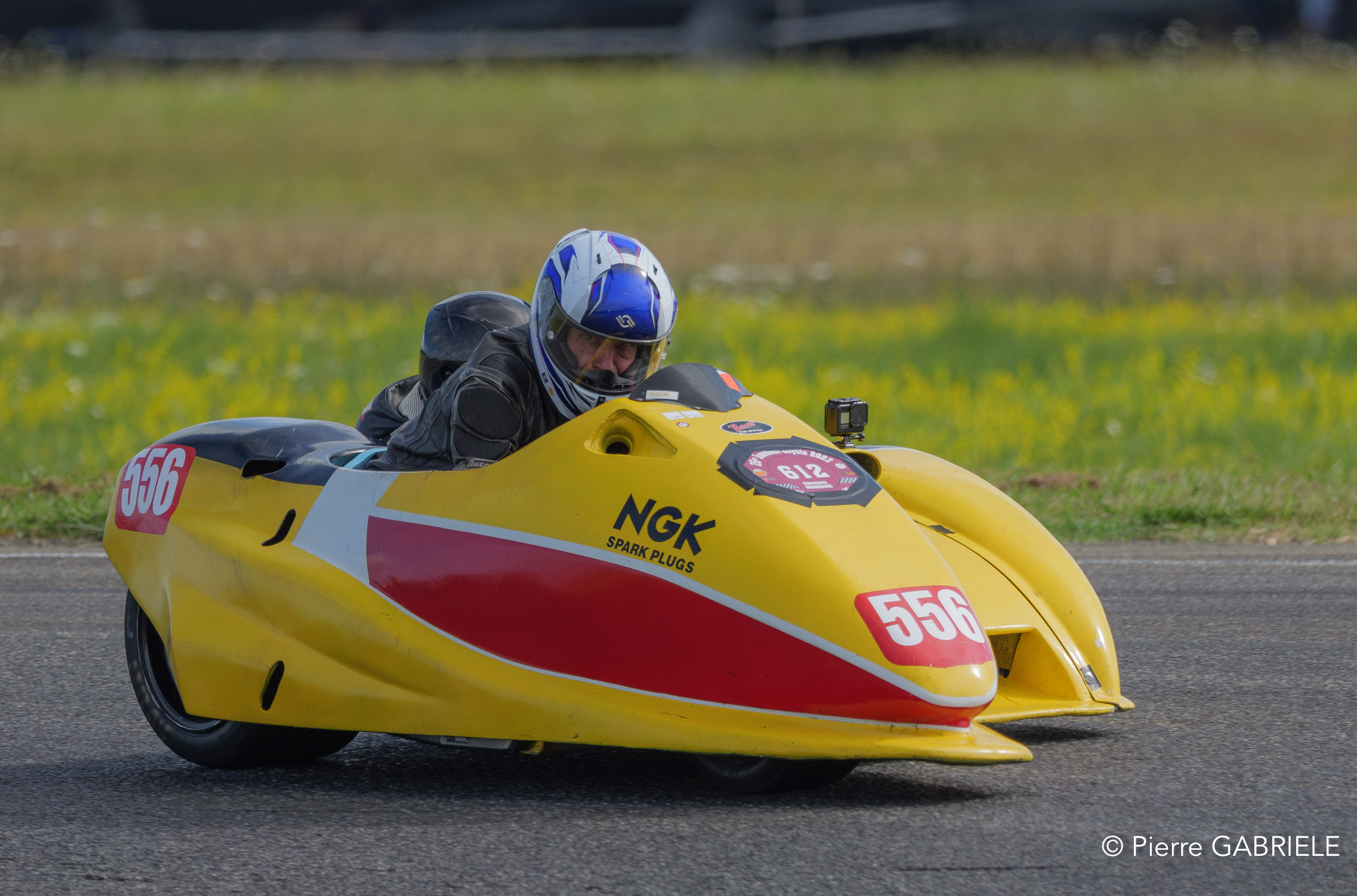 basset-classique-gh7_2895.jpg