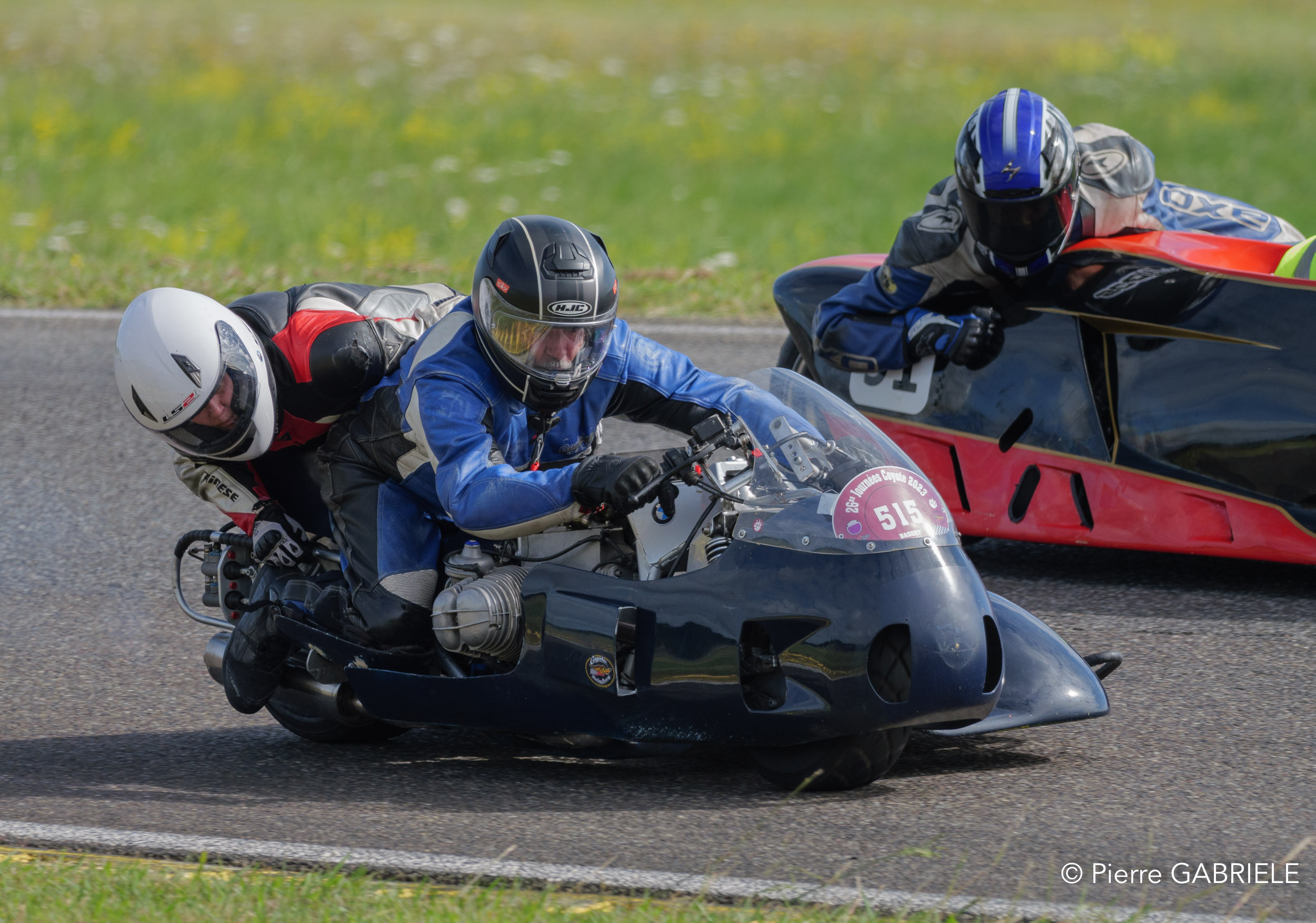 basset-classique-gh7_2896.jpg