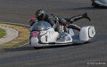 basset-classic-gh6_6067