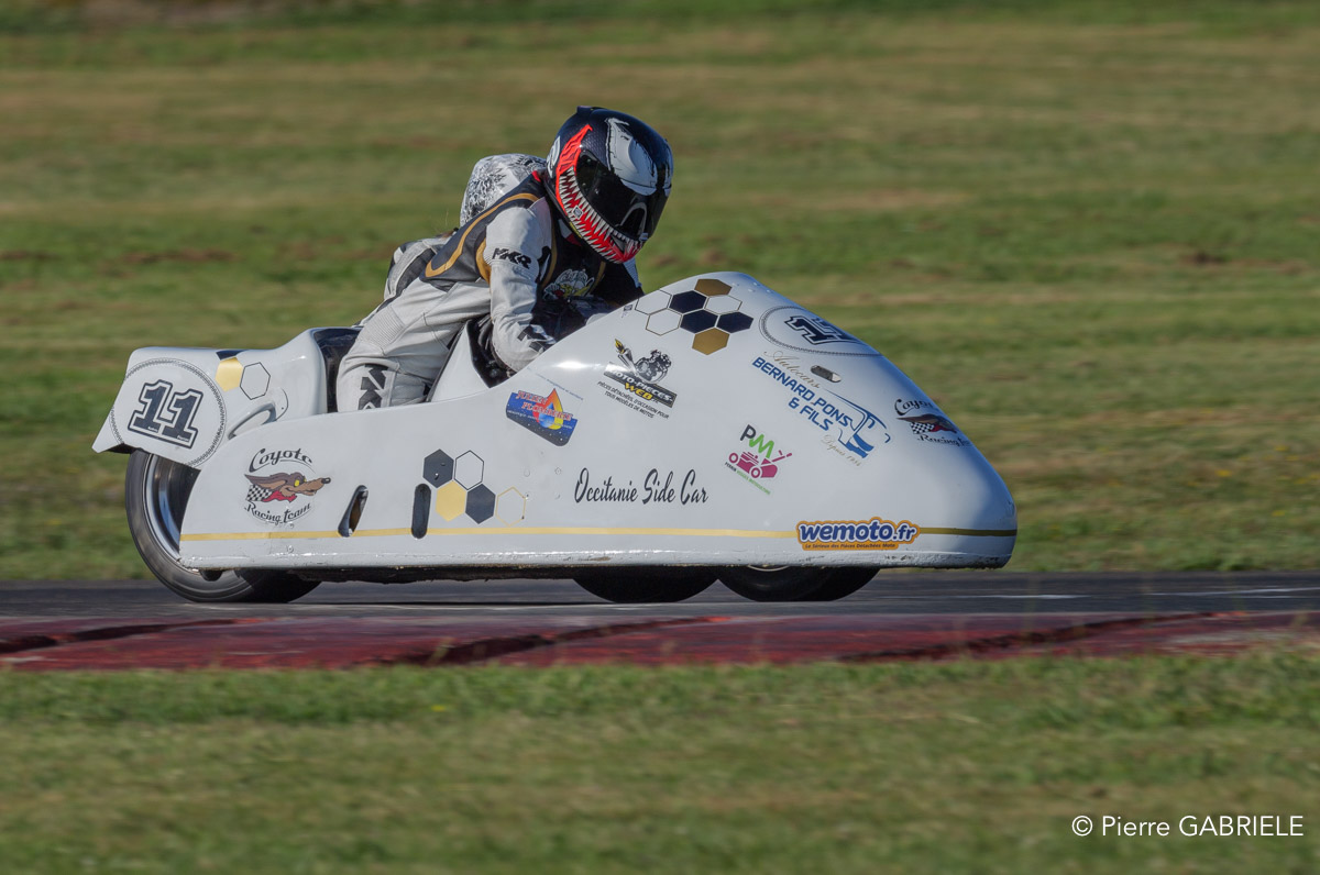 basset-classic-gh7_2316.jpg