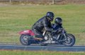 basset-classic-gh7_2296