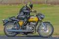 vintage-gh6_5738