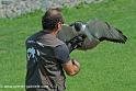 franck_2483