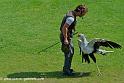 francois_2402