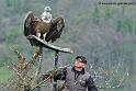 vautour_1268