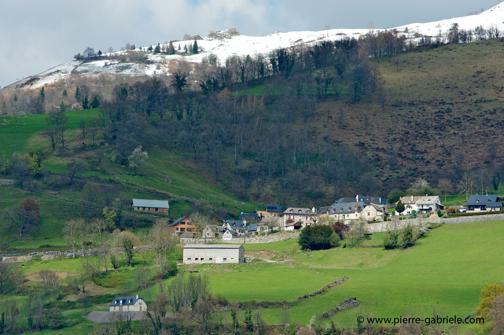 paysage_1155.jpg
