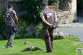 faucon_8174