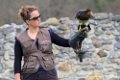 sandra-caracara_1150