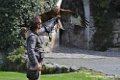 francois_0920
