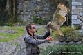 francois_0946