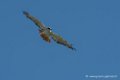 desaugures-d500_0108