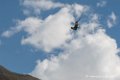 faucon-d500_0064