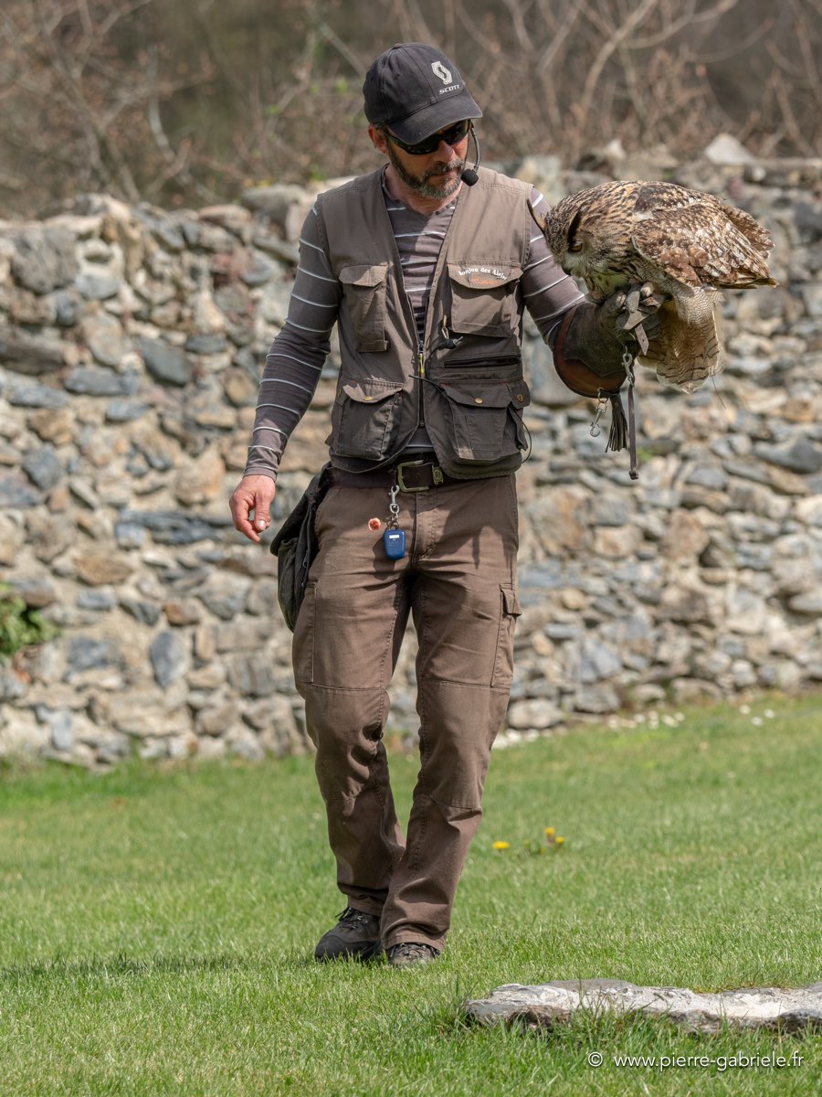 francois-grand-duc-g92_0698.jpg