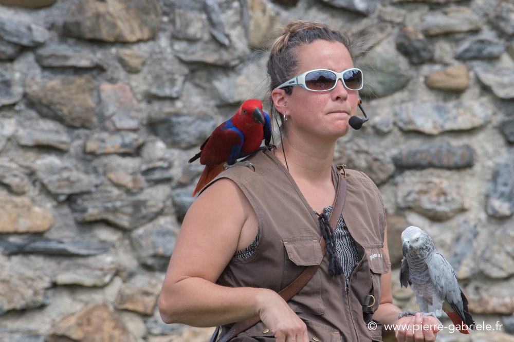 sandra-d500_2264.jpg
