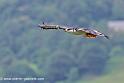 desaugures_0168