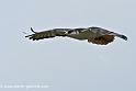 desaugures_0172