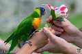 lori_4147