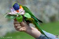lori_4152