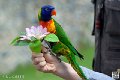 lori_4154
