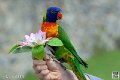 lori_4156