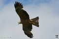 milan-royal_4023