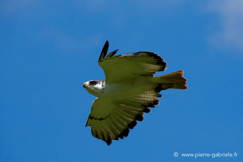 buse-des-augures_3267.jpg