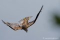 milan_3286
