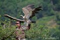 vautour_4209