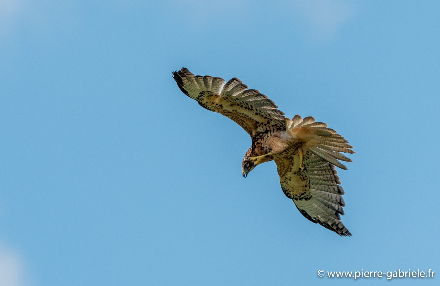 buse-3couleurs-g92_5189.jpg