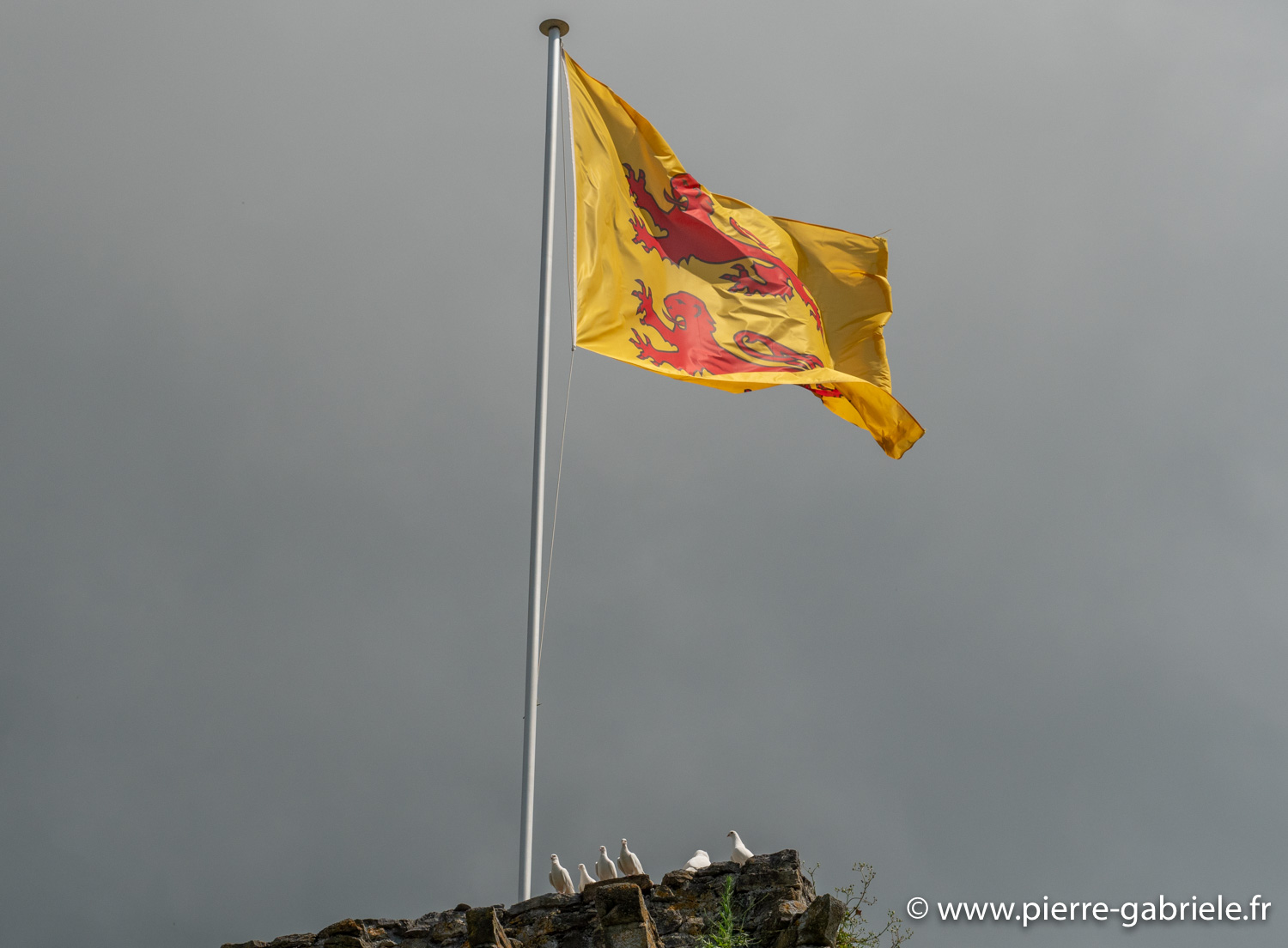 drapeau-g91_3972.jpg